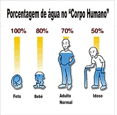 Quantidade de água no corpo humano